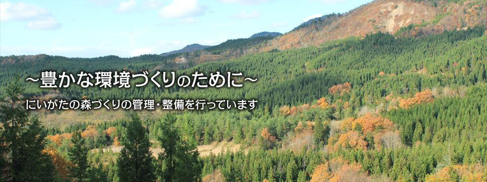 ～豊かな環境づくりのために～にいがたの森づくりの管理・整備を行っています